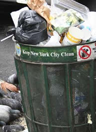 New York Near Collapse