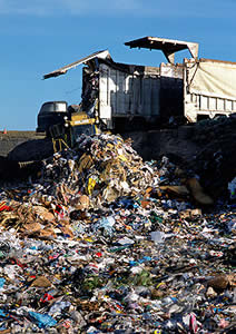 Recycle Myth